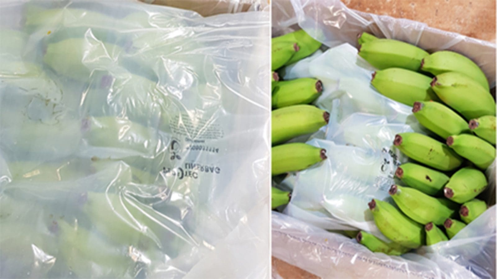 Perfo Tec invents laser micro-perforated bags to extend produce shelf life