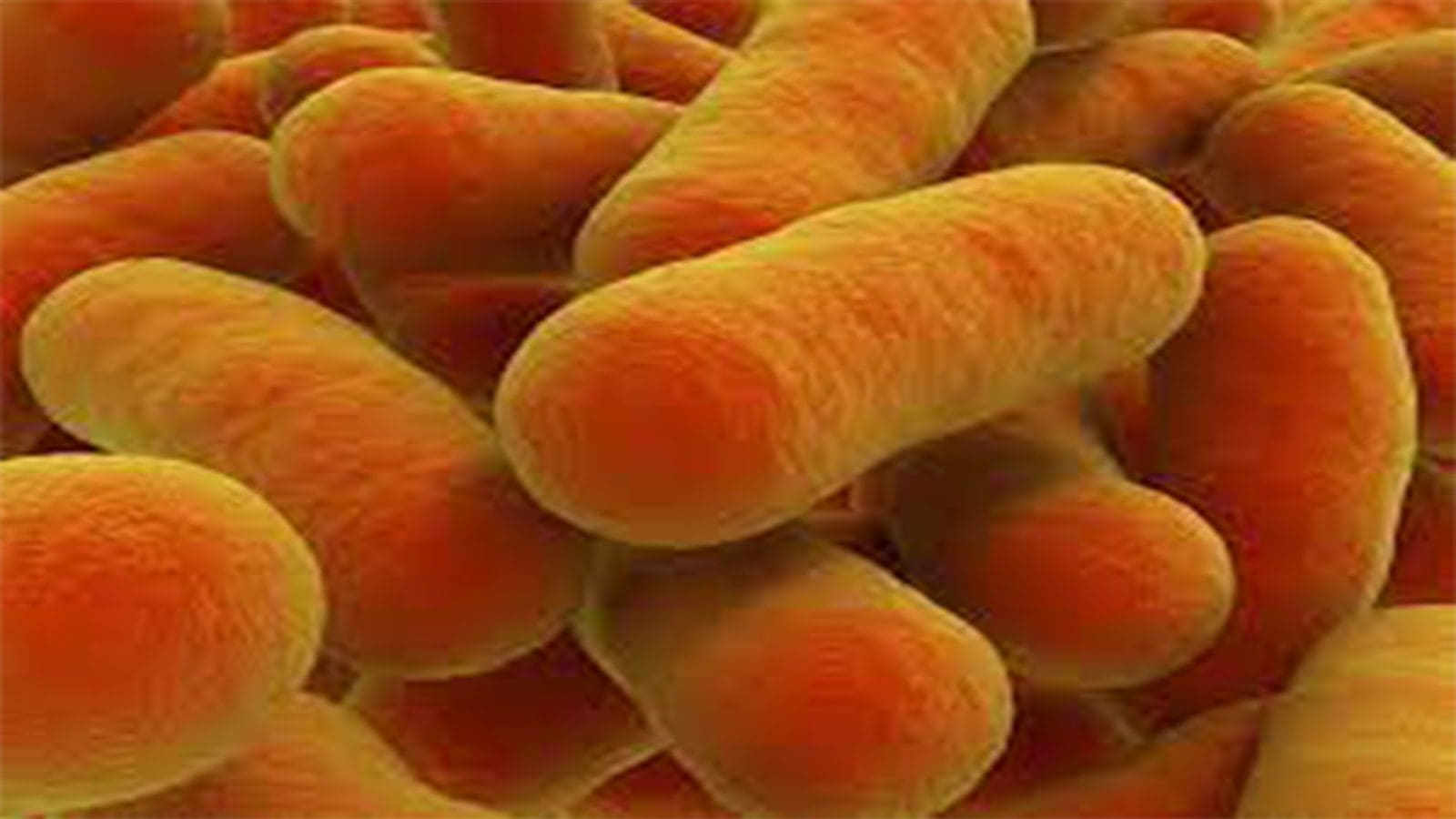 Officials in Argentina prioritize botulism, E. coli outbreaks
