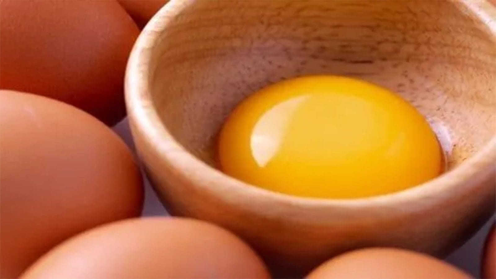 DTU National Food Institute find PFAs in organic egg yolks