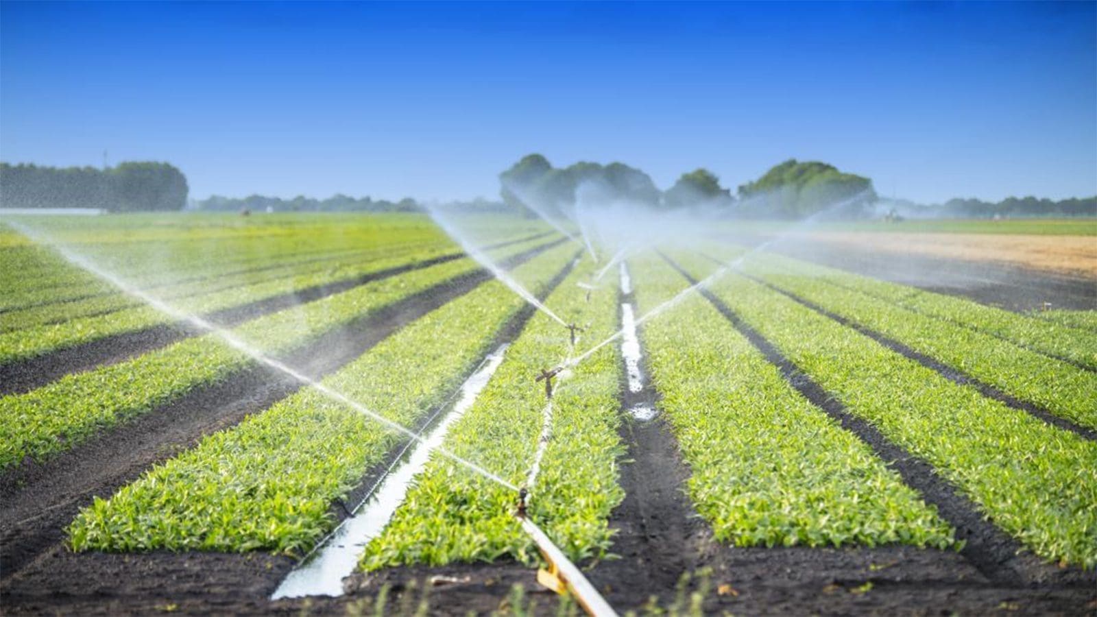 FDA reminds stakeholders of looming deadline for complying with agricultural water requirements
