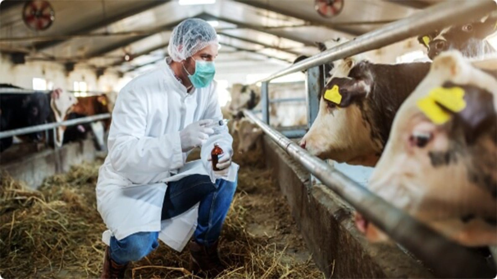 USDA proposes amending animal disease traceability rule to enable rapid disease diagnosis