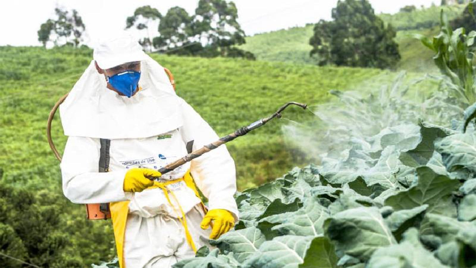 Researchers accentuate significance of pesticide use in antimicrobial resistance