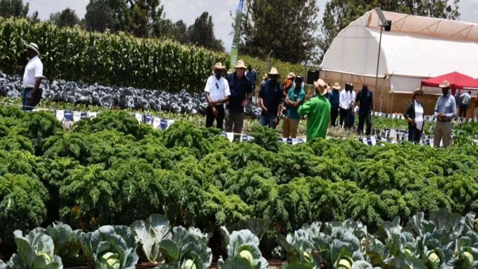 Syngenta launches crop protection center in Kenya to boost local food production