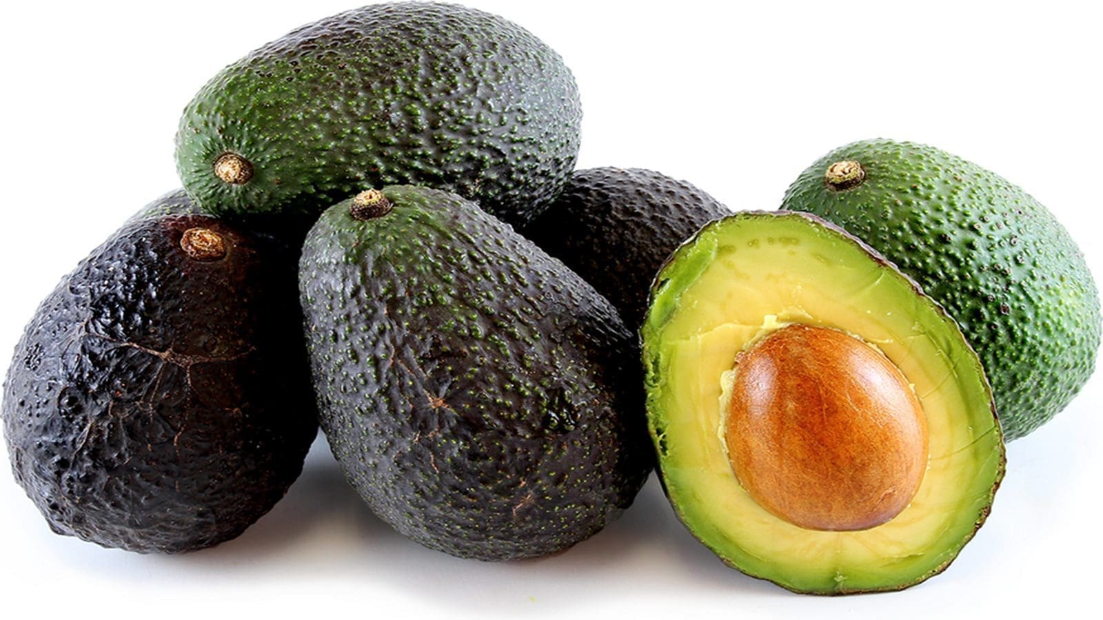 Kakuzi to commence avocado harvests, exports in mid-May