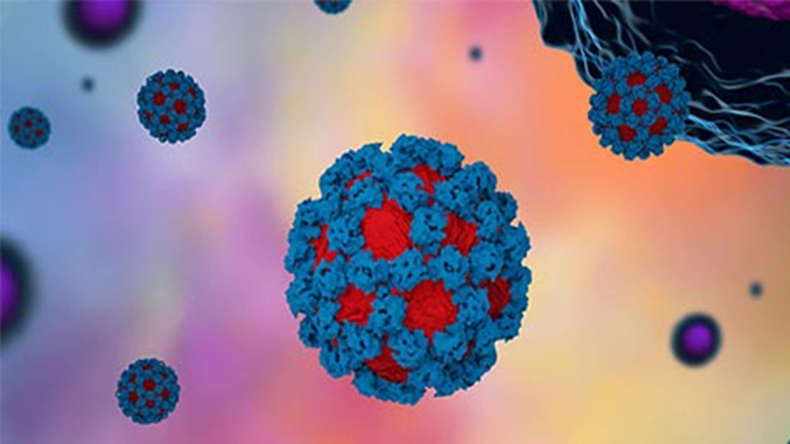 Washington University researchers to develop vaccine for human norovirus