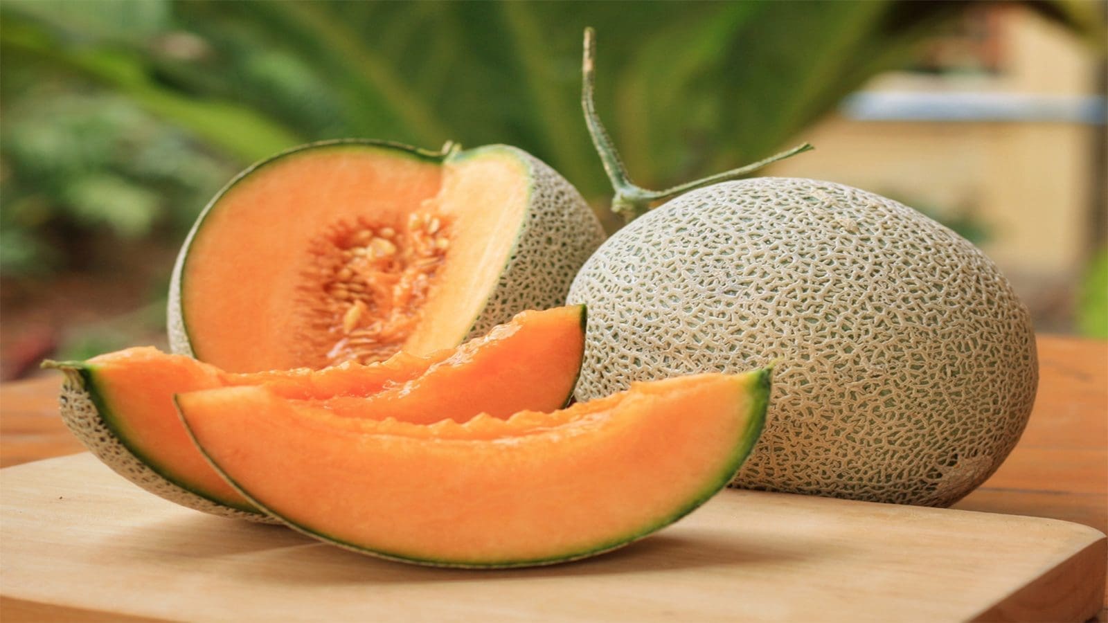FDA releases report on 2022 Salmonella outbreak linked to Cantaloupe