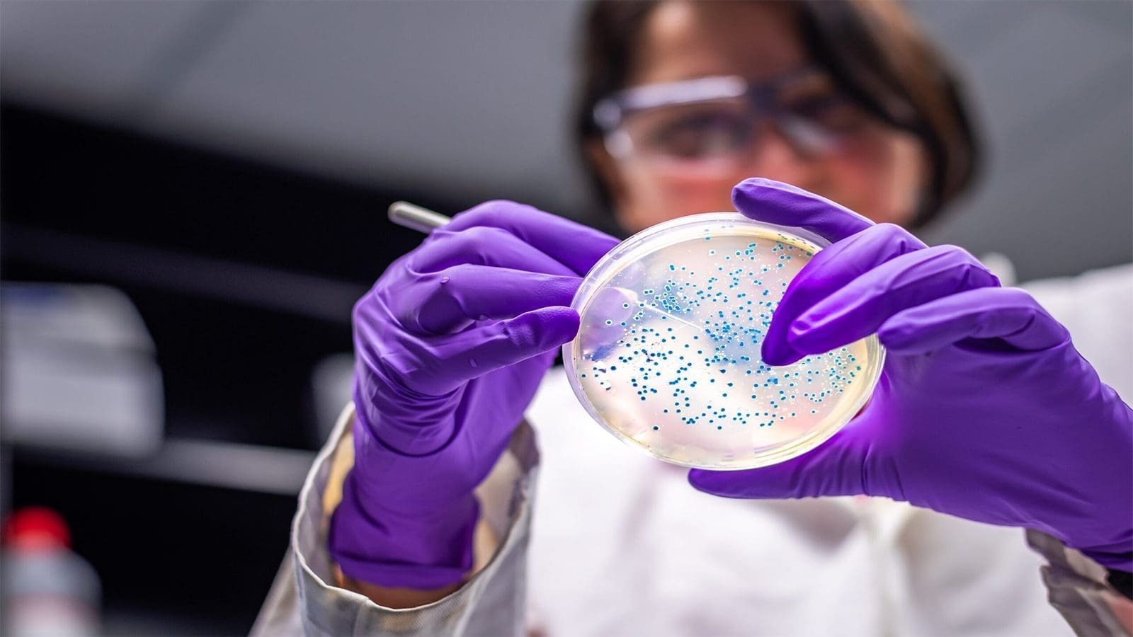 McMaster University researchers develop  rapid Salmonella detector