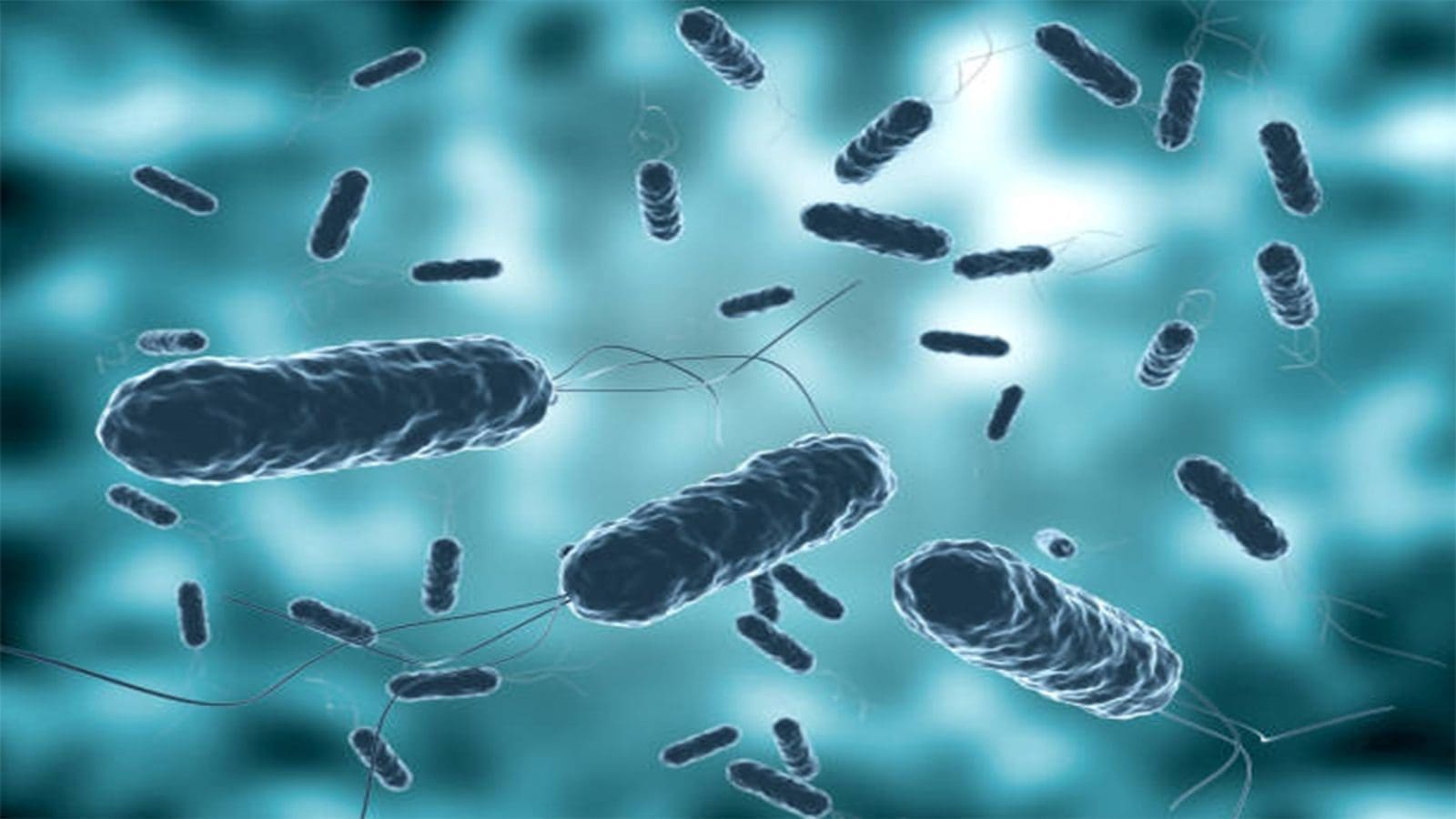 Findings on mode of infection for Vibrio could lead to new treatments development