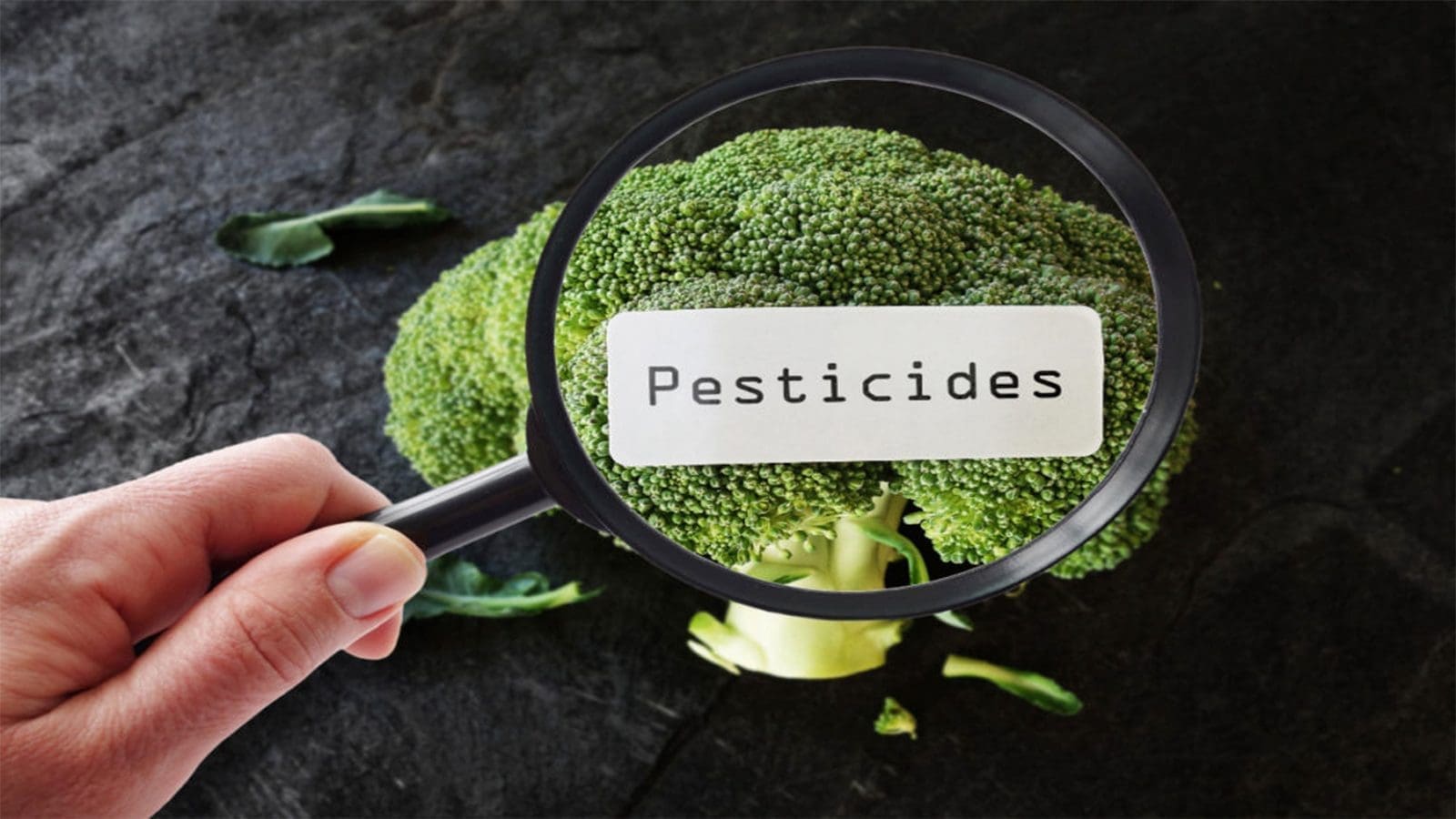 Health Canada initiates science-based evaluation to set maximum residue limits for pesticides in foods