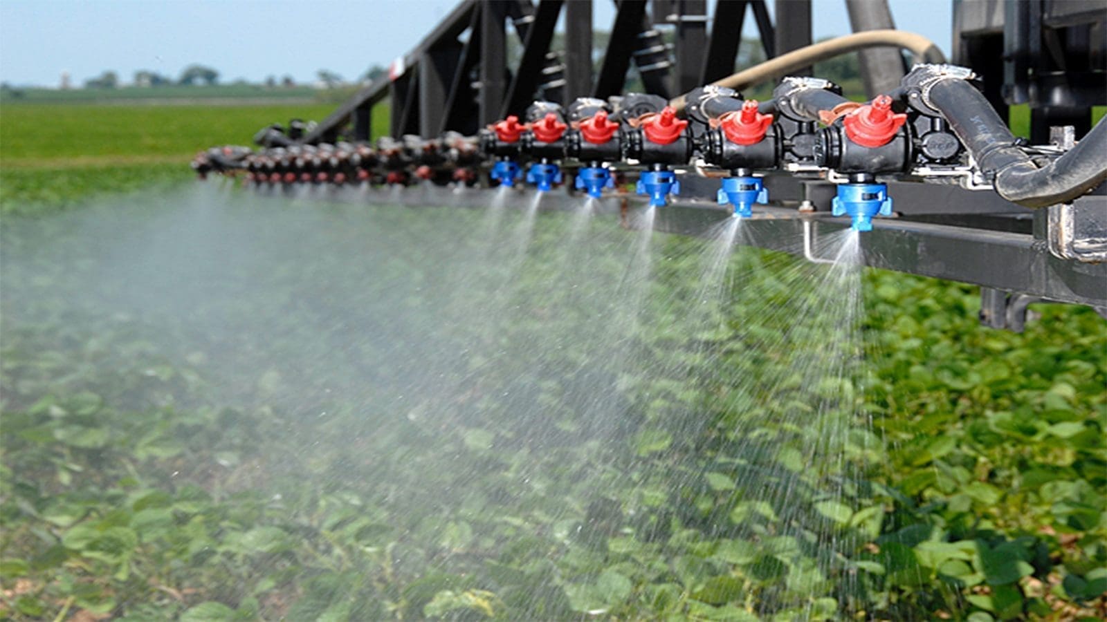 Lawsuit filed against EPA for unlawful re-approval of toxic herbicides in food agriculture