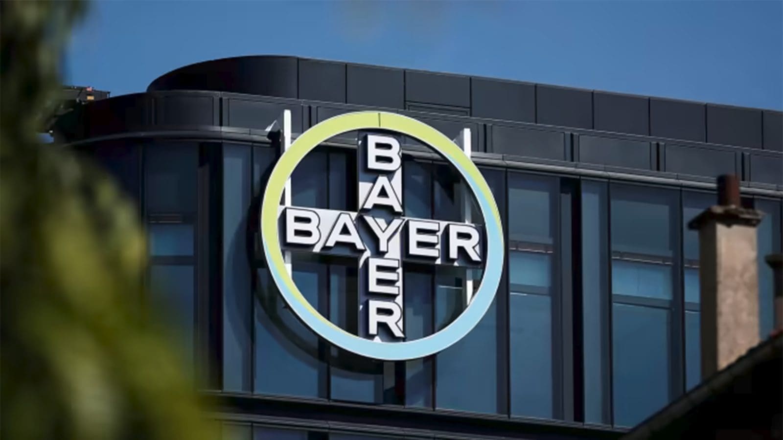Bayer faces multi-billion euro write-down as glyphosate controversy takes toll