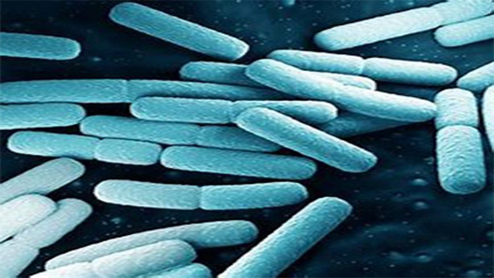 Cronobacter sakazakii designated as Nationally Notifiable Disease in U.S