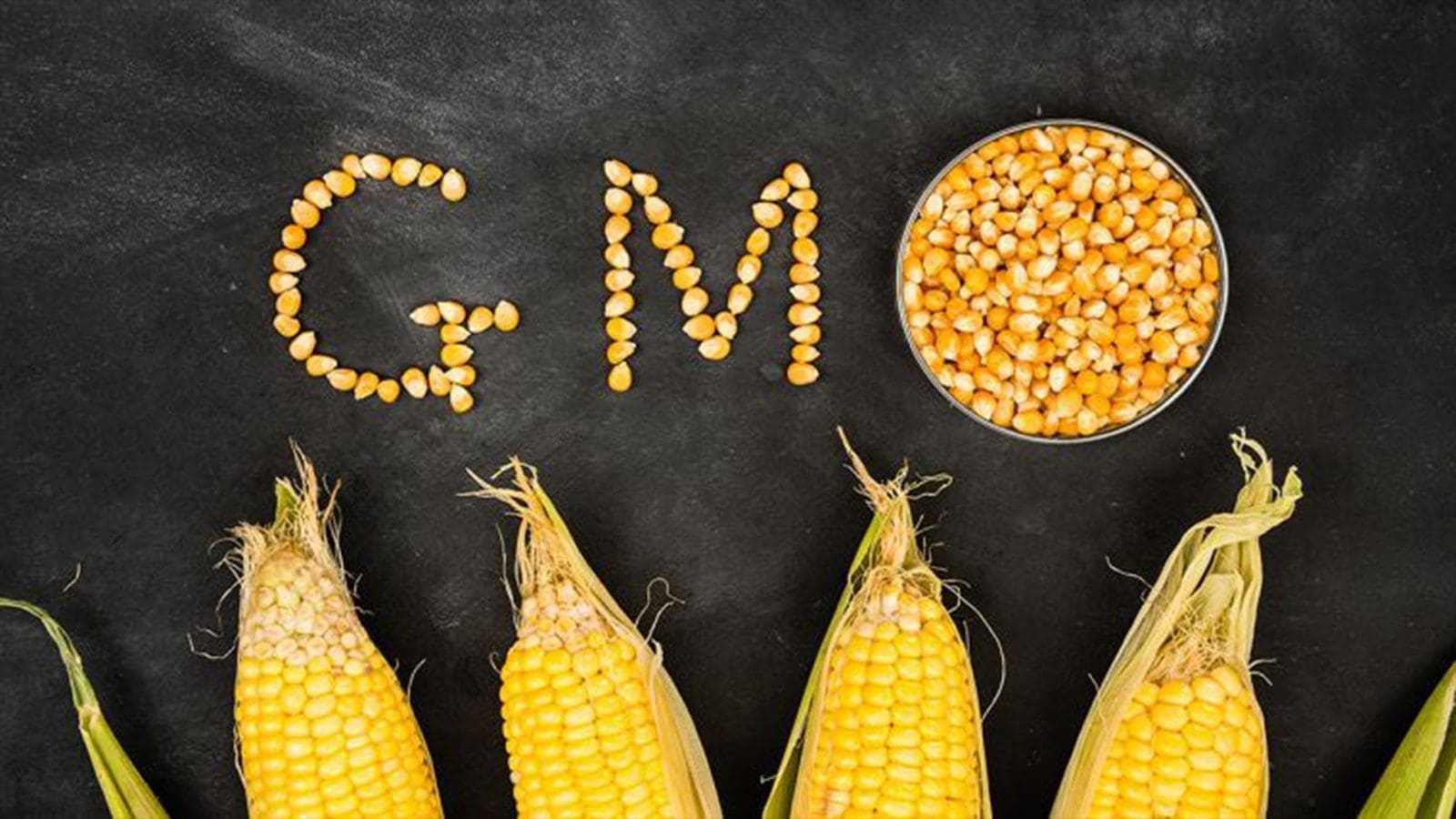 Rwanda takes bold step towards regulating GMOs, paving the way for a safer future