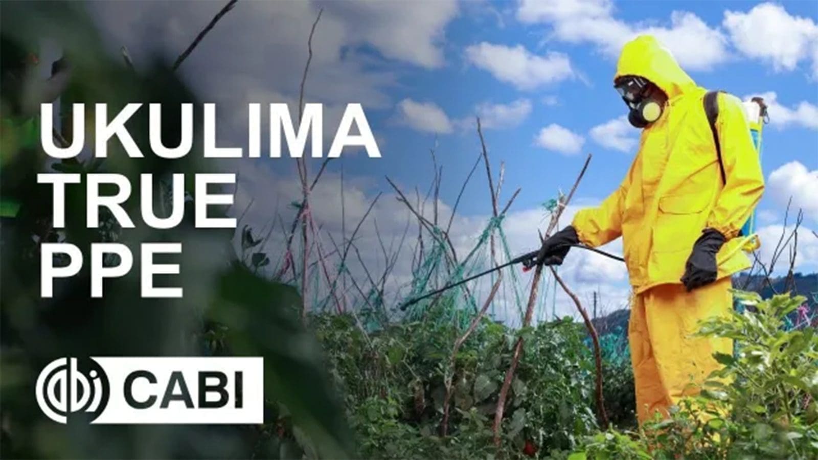 Nakuru County launches ‘Ukulima True’ campaign to promote food safety, reduce pesticide risks