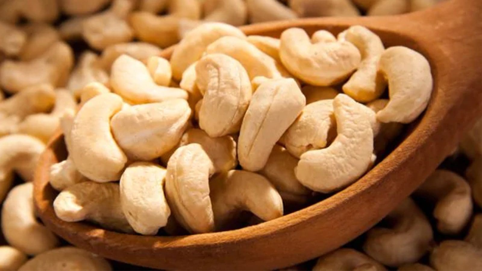Tanzanian cashew nut farmers urged to use proper pesticides for global competitiveness