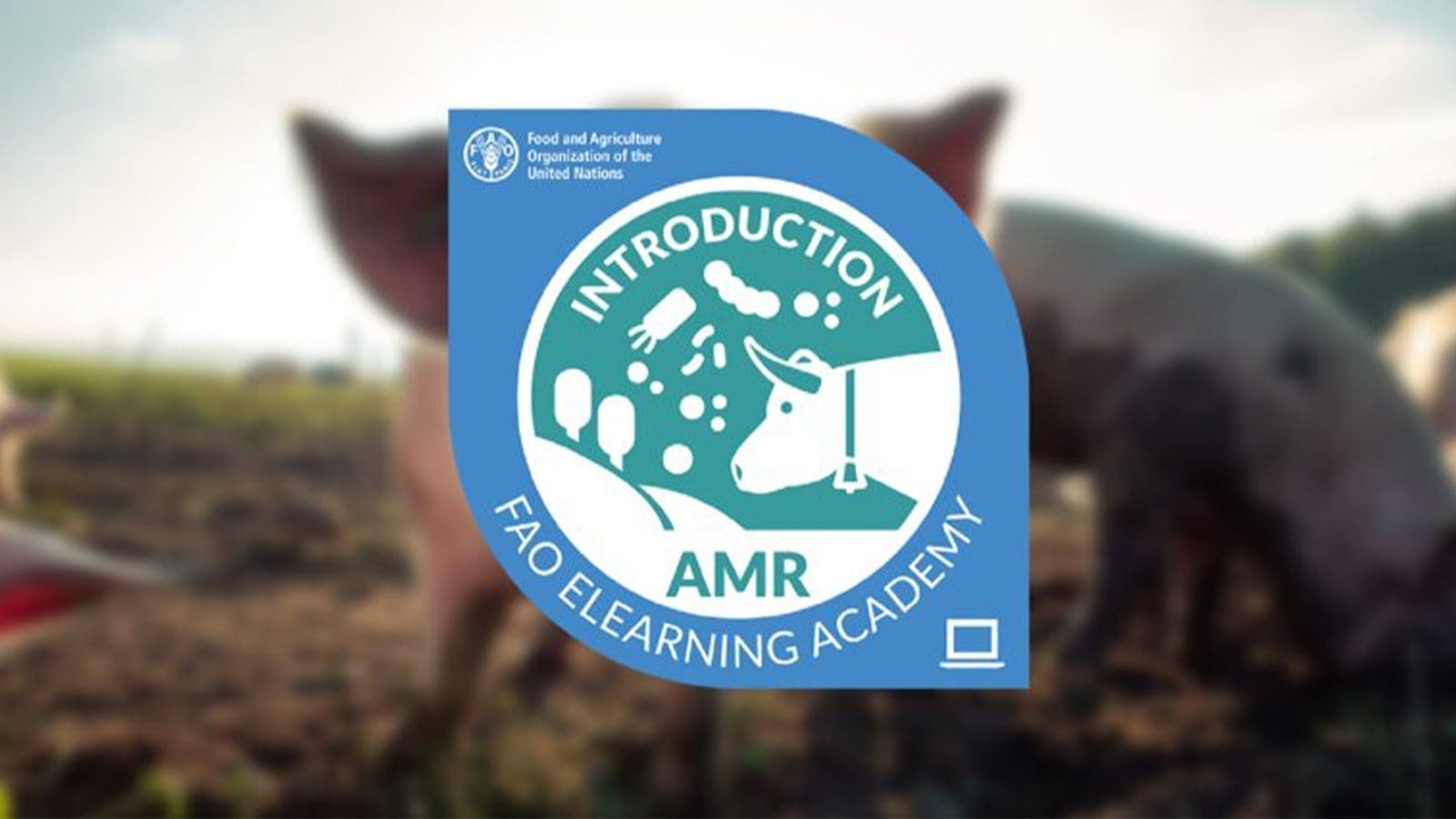 FAO launches vital online course to combat antimicrobial resistance