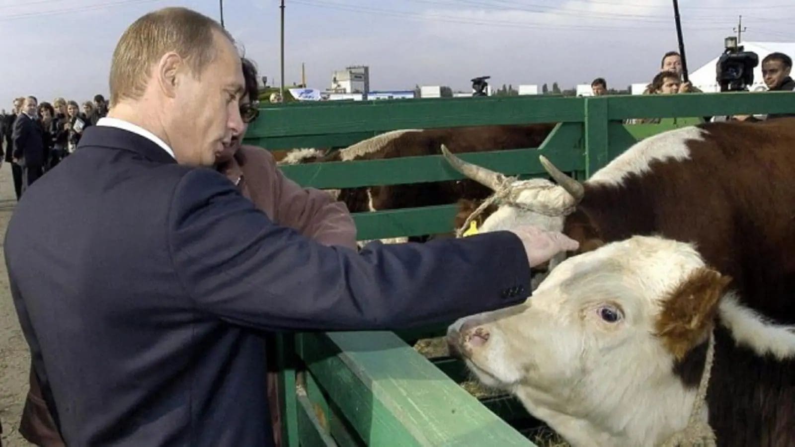Fraud as Russian feed manufacturers use GMOs despite harsh state restrictions