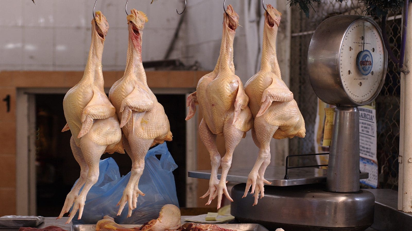 Poultry Association of Uganda denounces alleged chicken laced with ARVs, vows ethical standards