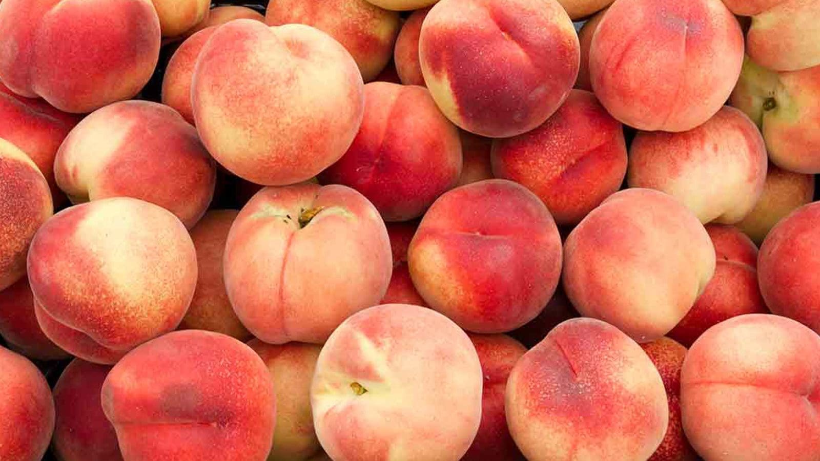 Center for Produce Safety initiative focuses on developing effective sanitization techniques for peaches