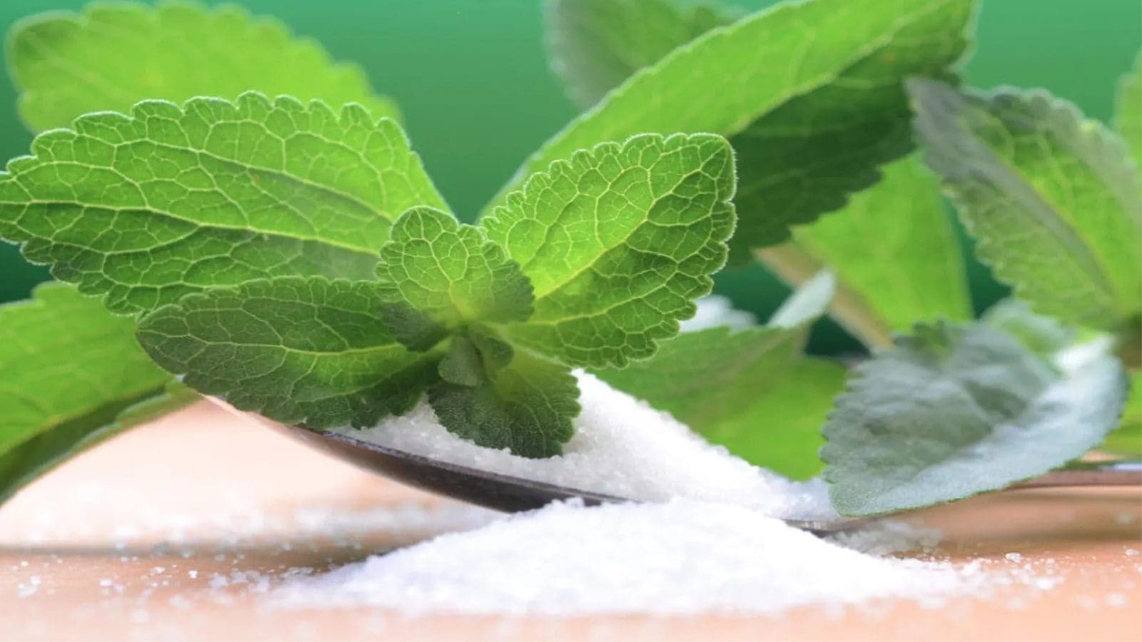 Sweegen gains full approval for innovative stevia sweeteners in Taiwan