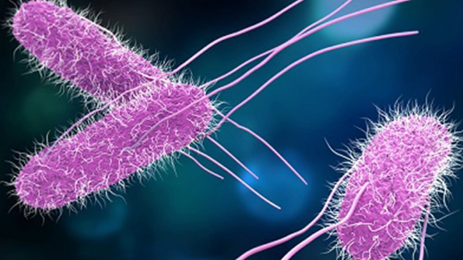 CDC study reveals alarming impact of antimicrobial resistance on foodborne salmonellosis