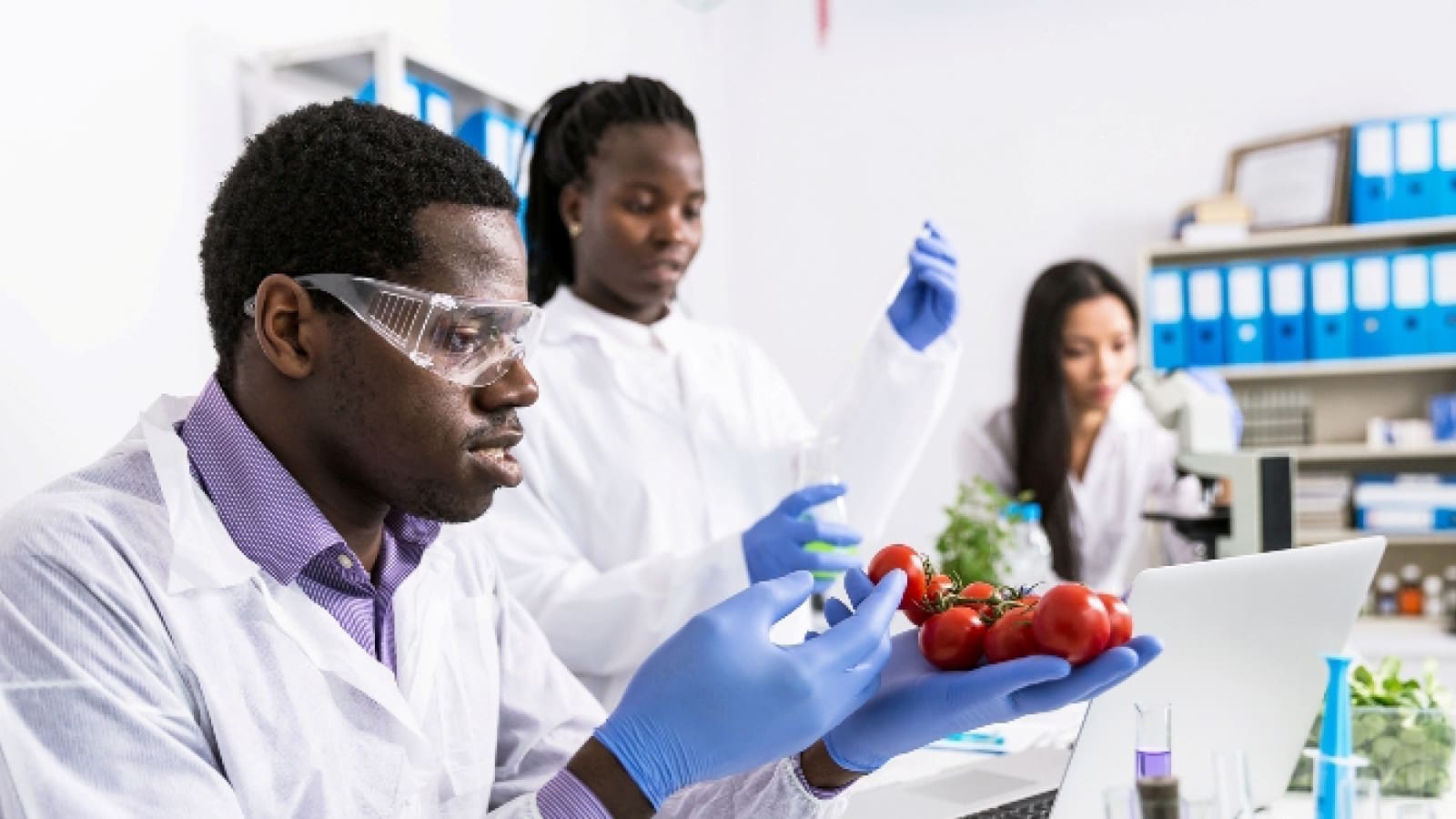 Inculcation of Food Safety Culture in Africa’s Food businesses