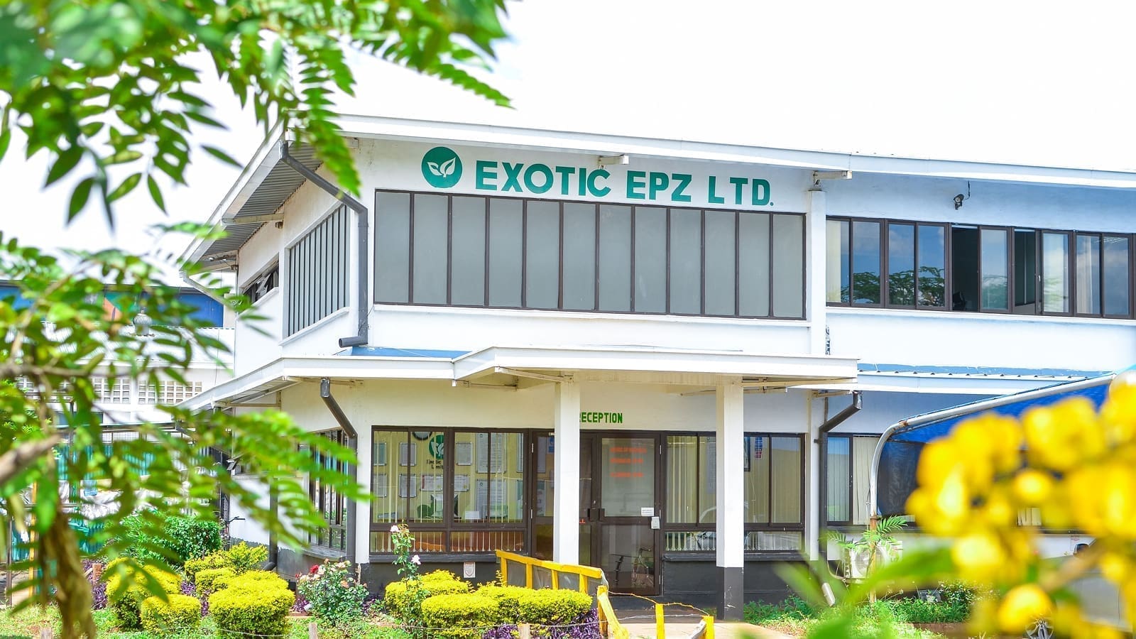 Company Feature: Exotic EPZ