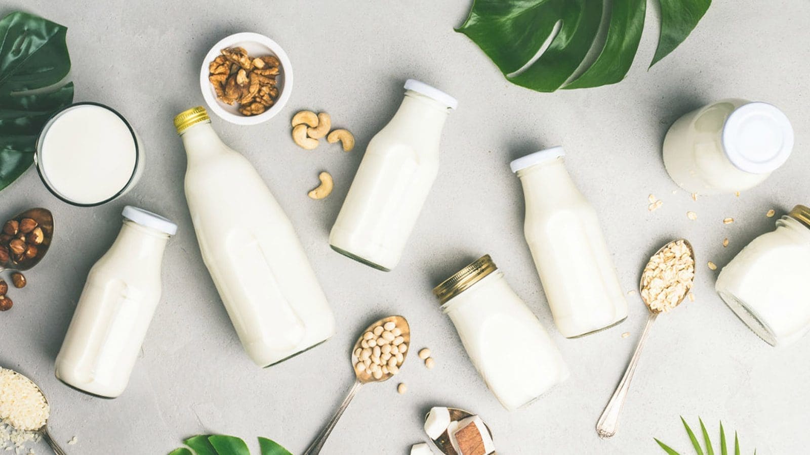 Microbial contaminants in plant-based dairy alternatives raise concerns for food safety