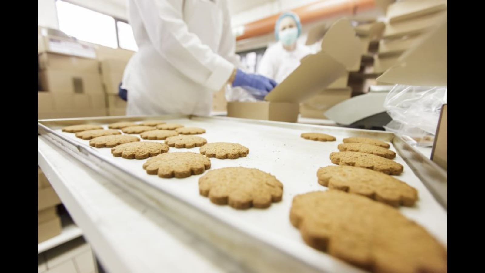 Wageningen University unveils innovative food reverse engineering model