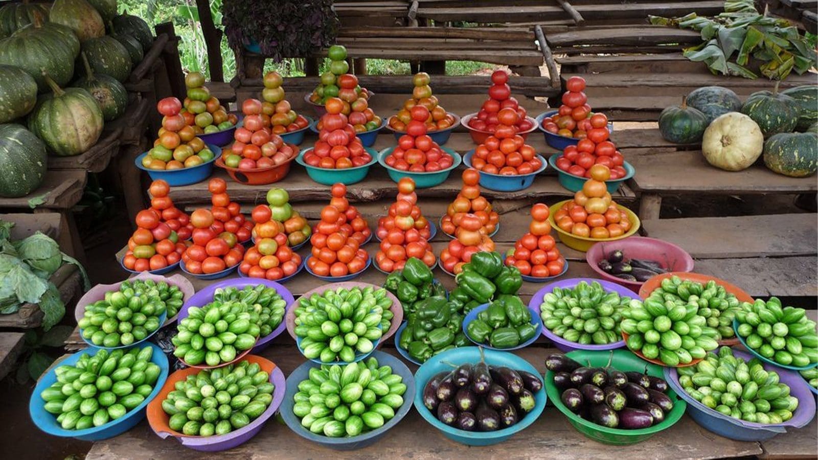 Ugandan study reveals alarming pesticide residues in fruits and vegetables, prompting urgent calls for regulation