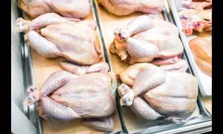 Crisis looms over uninspected chicken meat sold in Nairobi, major towns