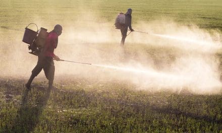 European Parliament rejects proposal to cut pesticide use, igniting controversy over environmental impact