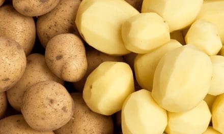 Scientists unveil Latin America’s first gene-edited potato to tackle food waste