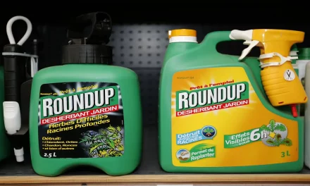 Glyphosate renewal decision sparks controversy in the European Union