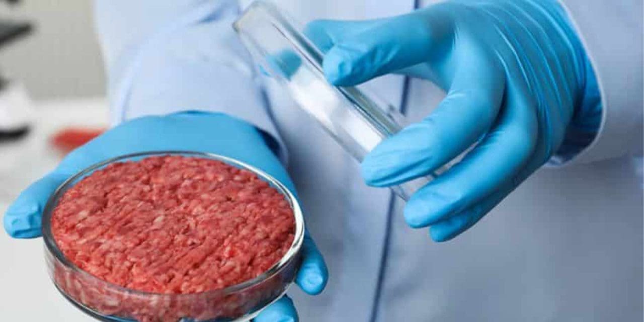Italy takes stand against cultured meat