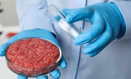 Italy takes stand against cultured meat