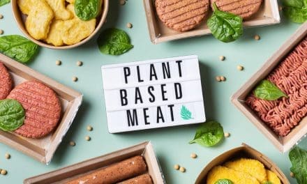 Plant-based meats fall short in delivering essential micronutrients, study reveals