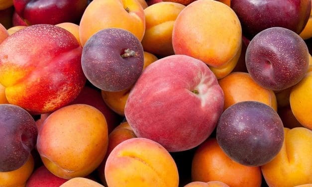 FDA links stone fruit to Listeria outbreak