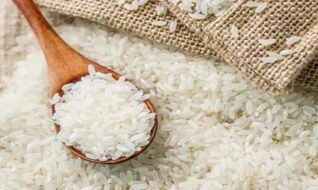 WACOT, GAIN, WFP launch fortified rice to fight micronutrient deficiency in Nigeria