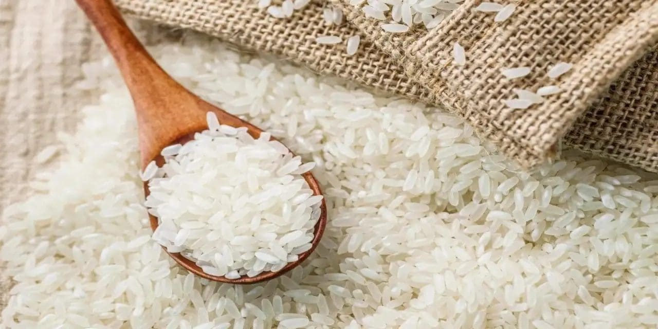 WACOT, GAIN, WFP launch fortified rice to fight micronutrient deficiency in Nigeria