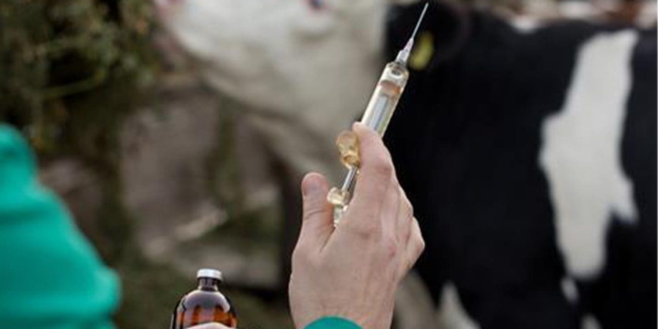 FDA reports 4% increase in sales of medically important antibiotics for food-producing animals