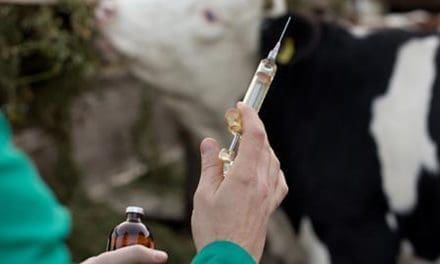 FDA reports 4% increase in sales of medically important antibiotics for food-producing animals