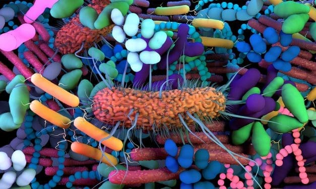 FAO gears up for crucial meeting on gut microbiome in food safety assessment