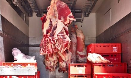Study reveals link between shipping distance, multidrug-resistant bacterial contamination in retail meats