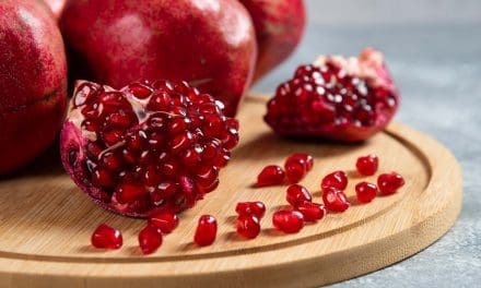 EU intercepts shipment of Moroccan pomegranates infested with false moth