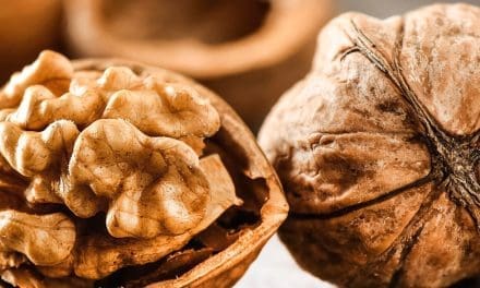 Neogen debuts Veratox VIP Assay for detection of walnut allergens