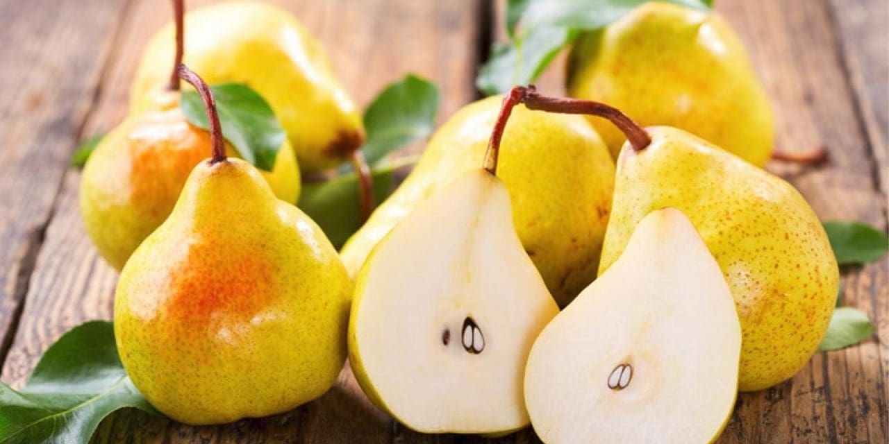 Genomic studies illuminate pears’ storage conditions