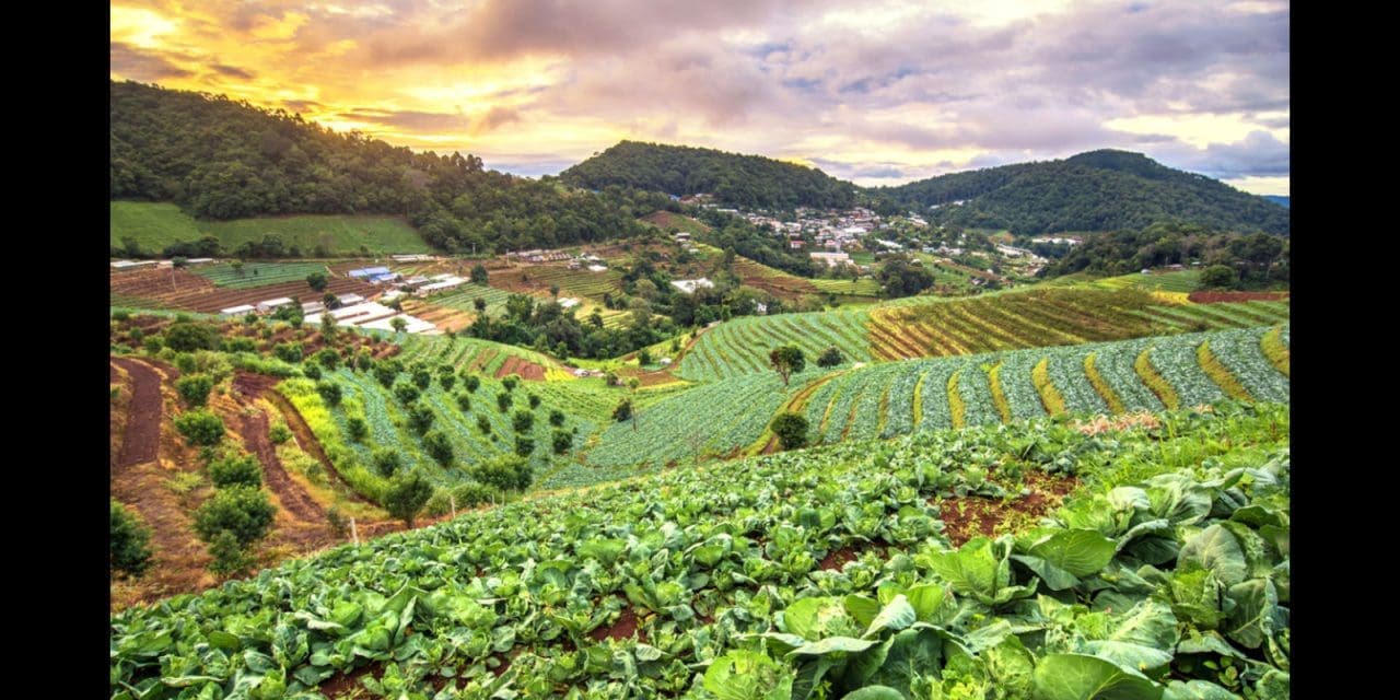 FAO explores food safety implications of environmental inhibitors in sustainable agrifood systems