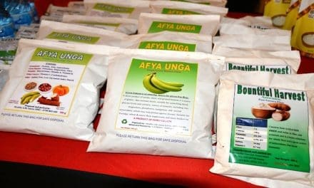 Innovative green banana flour adds value, extends shelf life