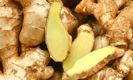 NEMA extends relief efforts to ginger farmers hit by fungal attack in Kaduna State